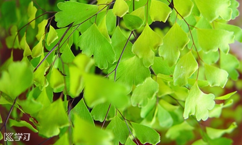 迎接开学的句子优美短句 迎接开学的句子优美短句