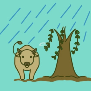 清明节朋友圈唯美句子 清明节朋友圈唯美句子