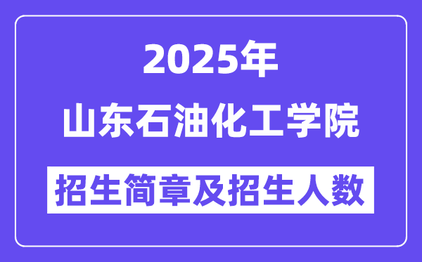 山东石油化工学院2025高考招生简章及各省招生计划人数