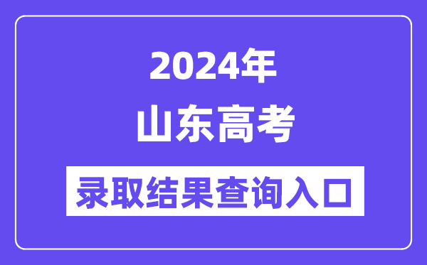 2024年山东高考录取结果查询入口(https://www.sdzk.cn/)