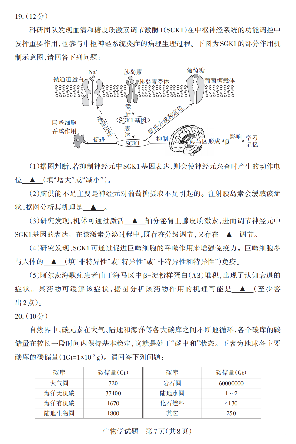 2025山西省高三一模考试真题及答案解析（语数英+选考科目）