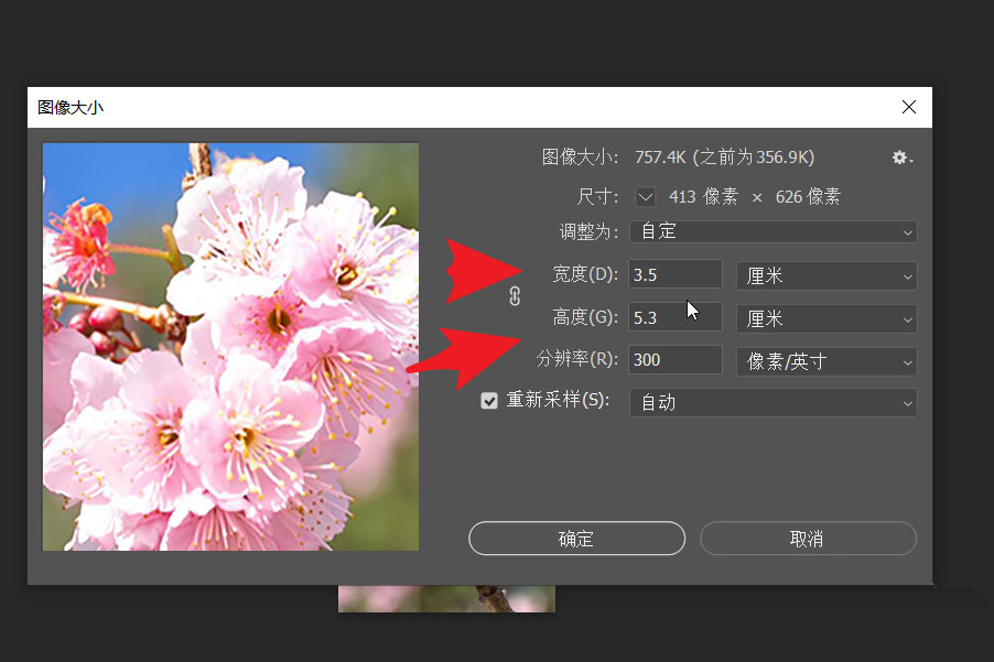 ps2021一寸证件照怎么改成二寸呢? ps修改证件照片尺寸技巧