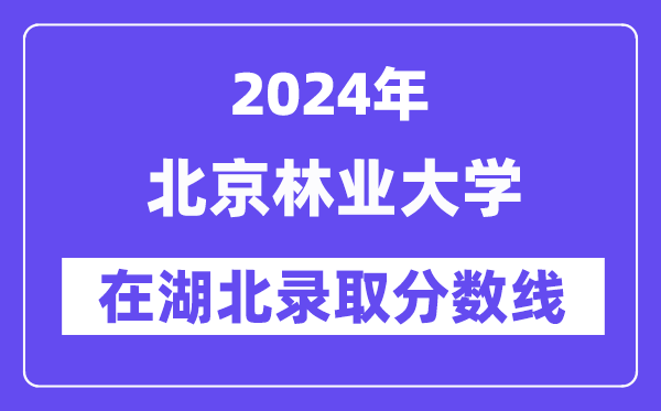 北京林业大学2024年在湖北录取分数线一览表(2025年参考)