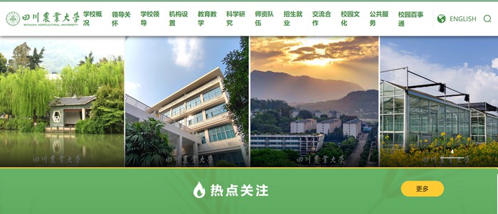 四川农业大学官网网址(https://www.sicau.edu.cn/)