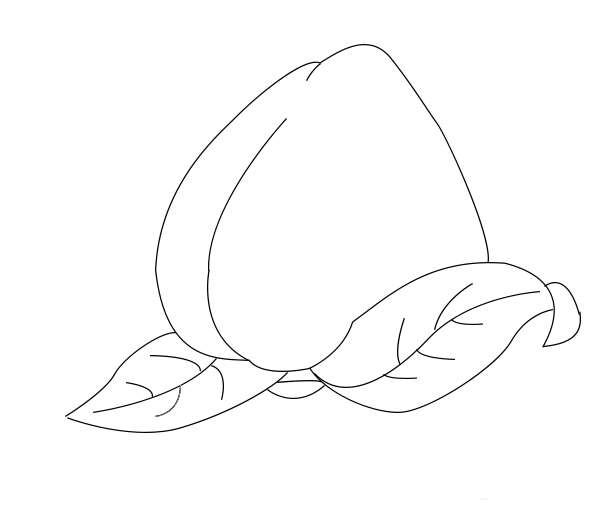 ps怎么手绘简笔画桃子? ps桃子手绘过程