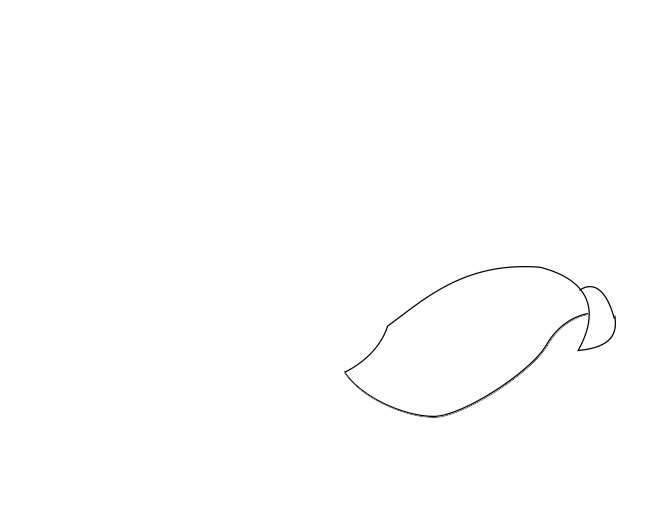 ps怎么手绘简笔画桃子? ps桃子手绘过程
