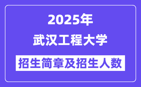 武汉工程大学2025高考招生简章,各省招生计划人数汇总
