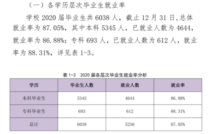 重庆城市科技学院就业率及就业前景怎么样,好就业吗?