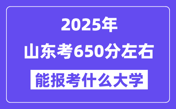 2025年山东考650分左右能报考上什么大学?附位次排名对照表