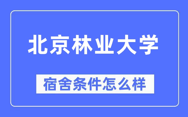 北京林业大学宿舍条件怎么样,有空调和独立卫生间吗?(附宿舍图片)