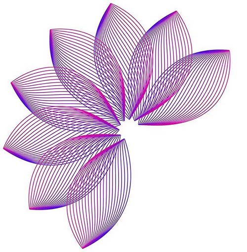 PS怎么手绘线条效果的莲花?