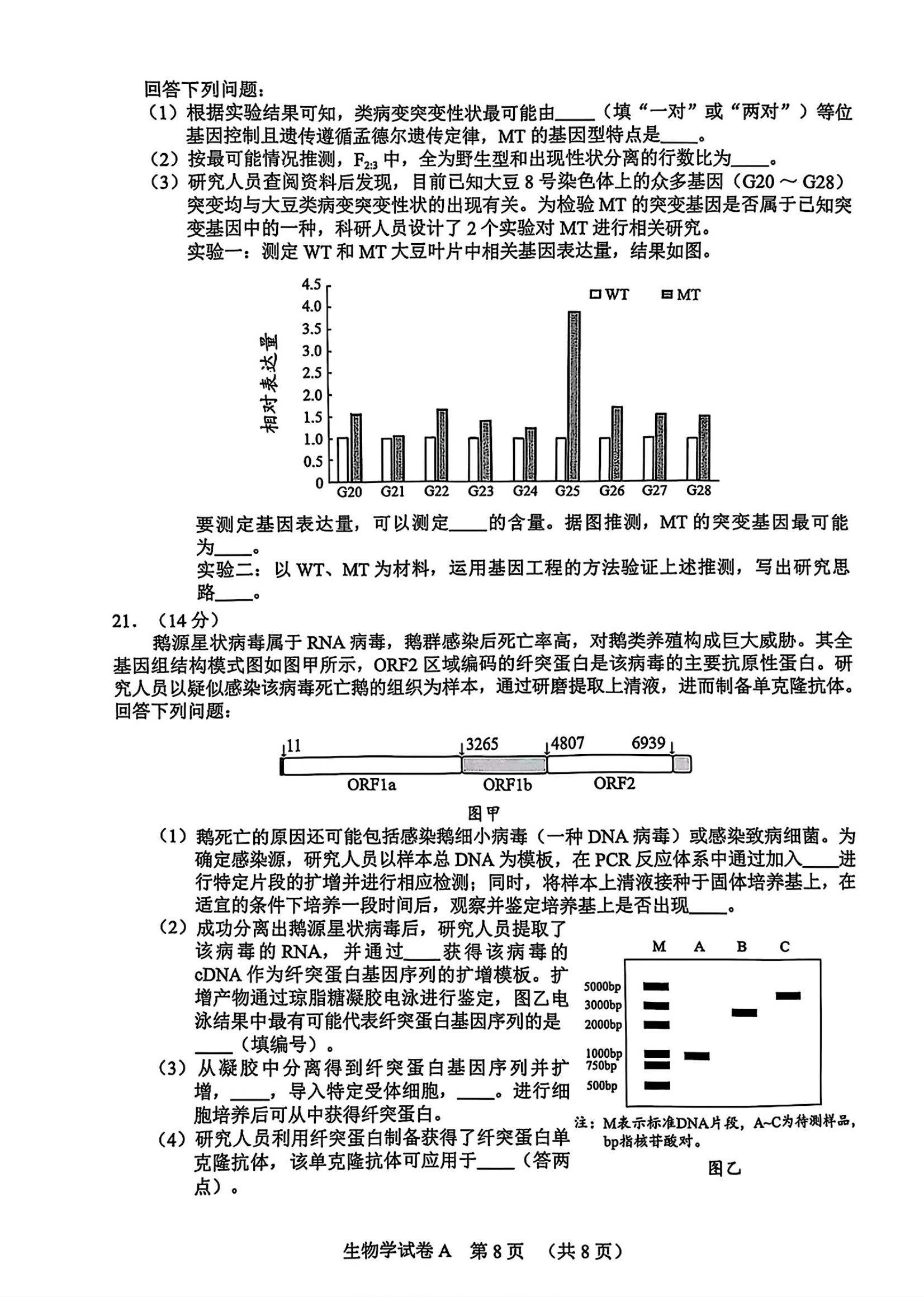 2025广州一模高三综合测试（一）各科试题及答案汇总