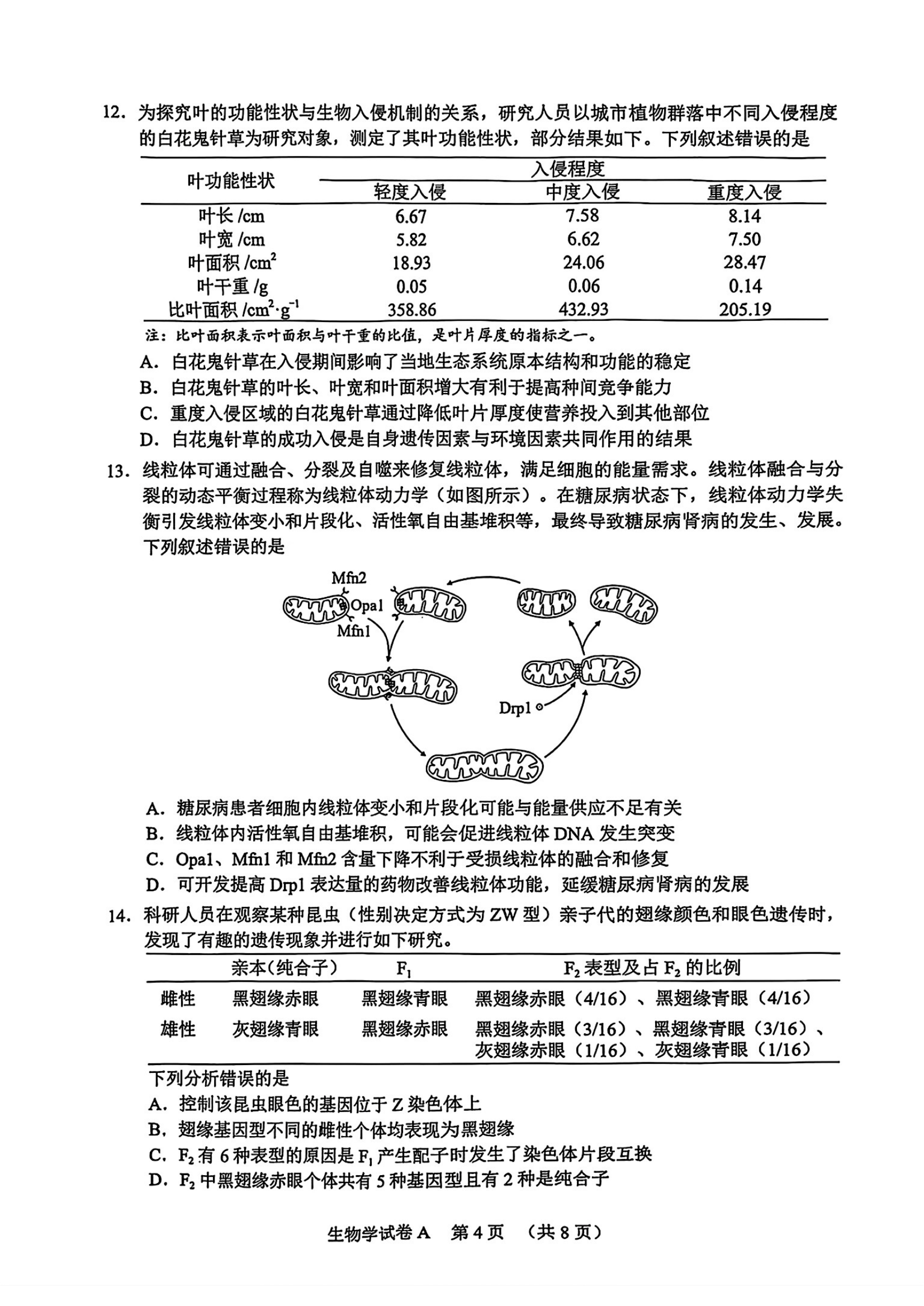 2025广州一模高三综合测试（一）各科试题及答案汇总