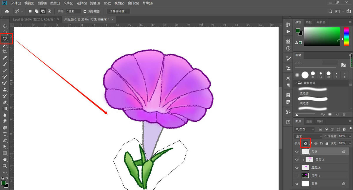 PS怎么守护逼真的牵牛花插画? ps画牵牛花的教程