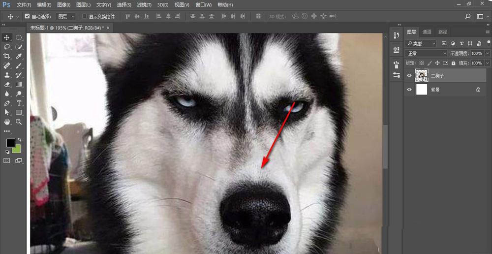 PS画布不能拖动移动怎么解决? PS画布移动的方法