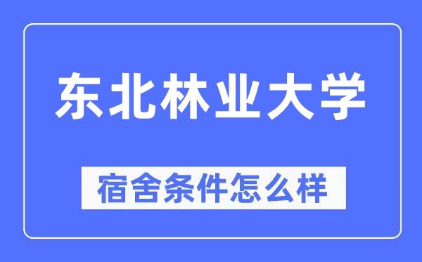 东北林业大学宿舍条件怎么样,有空调和独立卫生间吗?(附宿舍图片)