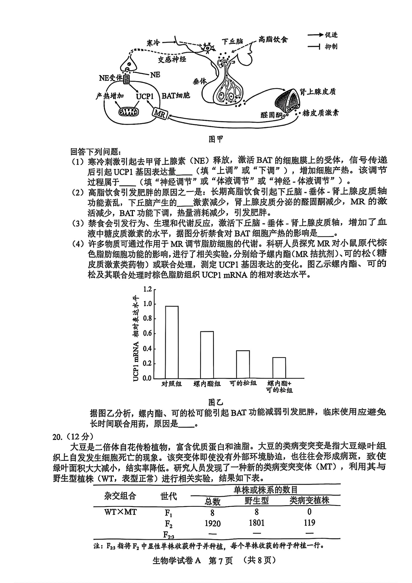 2025广州一模高三综合测试（一）各科试题及答案汇总