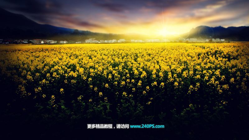 ps把白天油菜花地图片调出大气好看的霞光效果教程