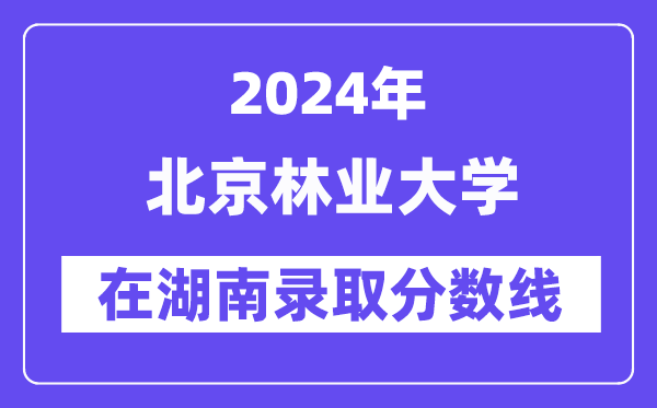 北京林业大学2024年在湖南录取分数线一览表(2025年参考)