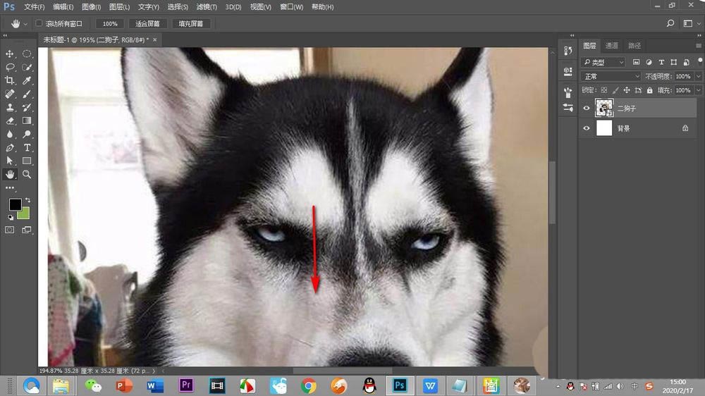 PS画布不能拖动移动怎么解决? PS画布移动的方法
