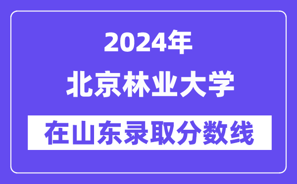 北京林业大学2024年在山东录取分数线一览表(2025年参考)
