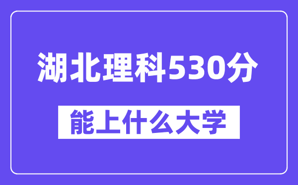 湖北理科530分左右能上什么大学?(物理类)