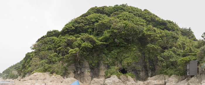 PS合成大树下唯美的美女和鹿王嬉戏场景