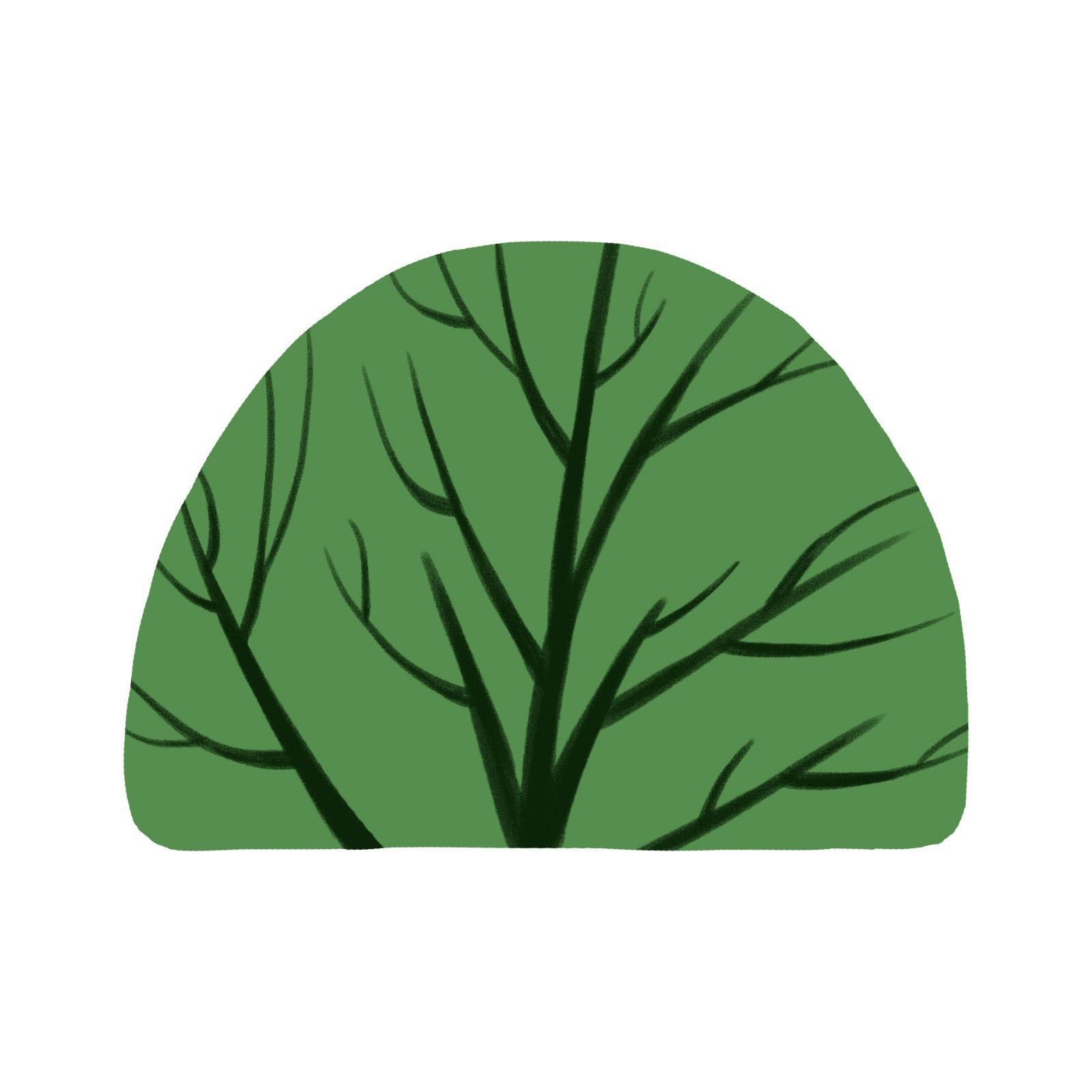 ps怎么手绘简单灌木植物素材? ps画灌木植物矢量图的技巧