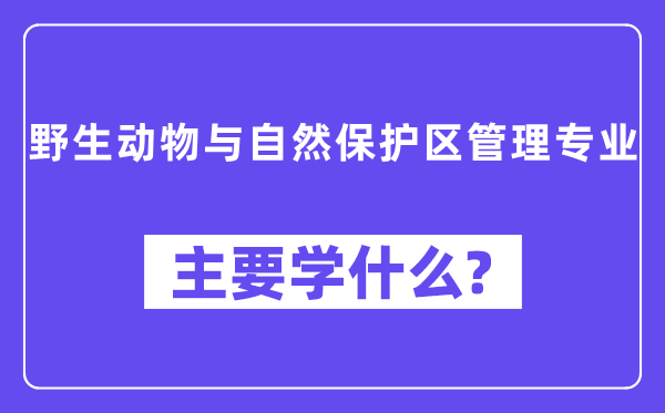 野生动物与自然保护区管理专业主要学什么?附野生动物与自然保护区管理专业课程目录