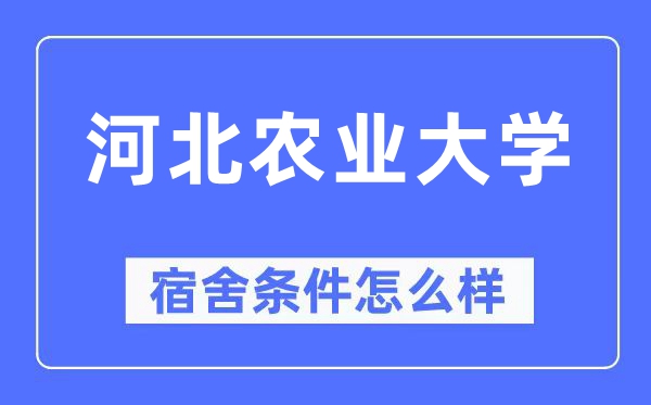 河北农业大学宿舍条件怎么样,有空调和独立卫生间吗?(附宿舍图片)