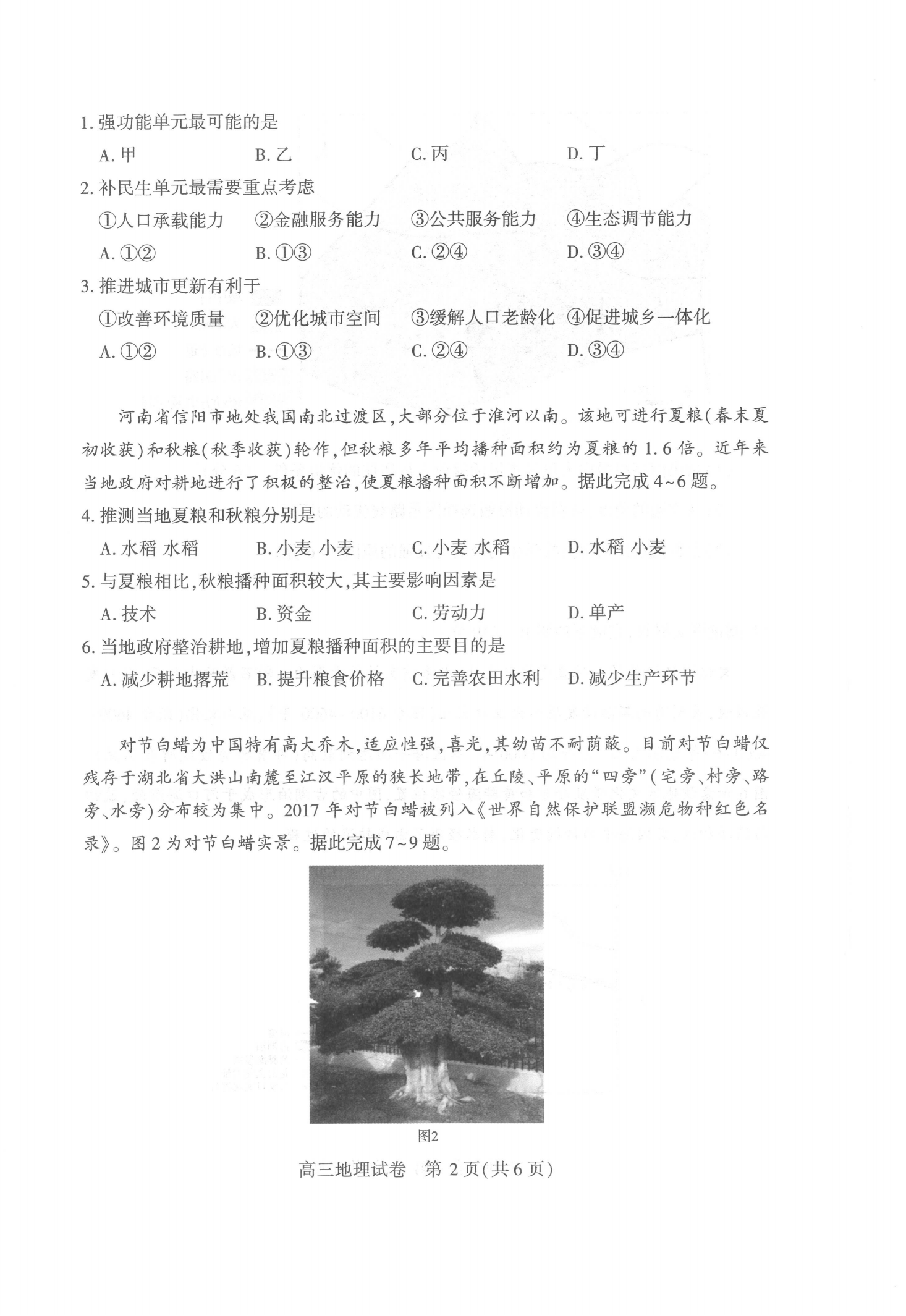 2025届武汉高三二调全解析：九科试卷真题及答案解析
