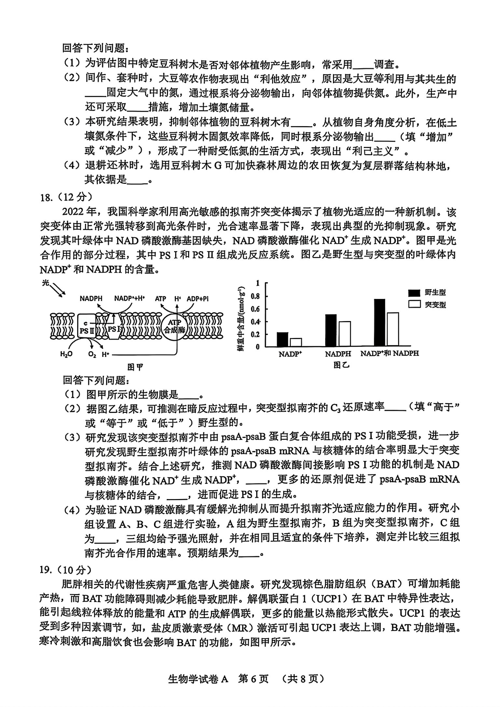 2025广州一模高三综合测试（一）各科试题及答案汇总