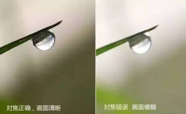 手机摄影技巧:教大家如何拍好水珠