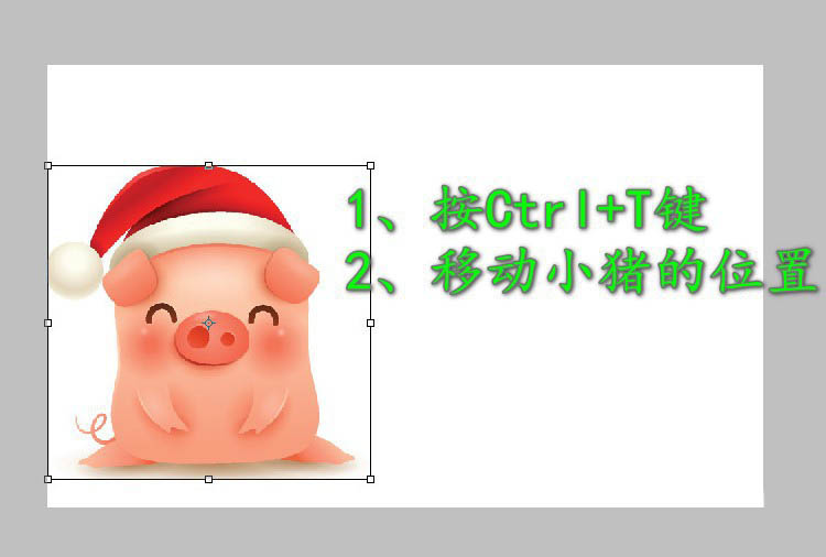 ps怎么设计猪年明信片? ps明信片的设计方法