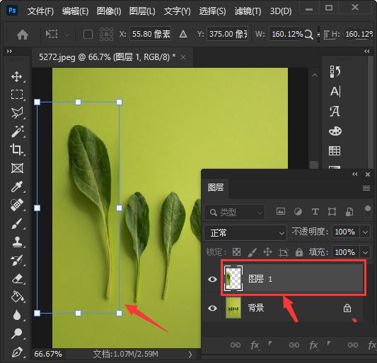 ps怎么单独放大一个物体? ps放大缩小图形的技巧