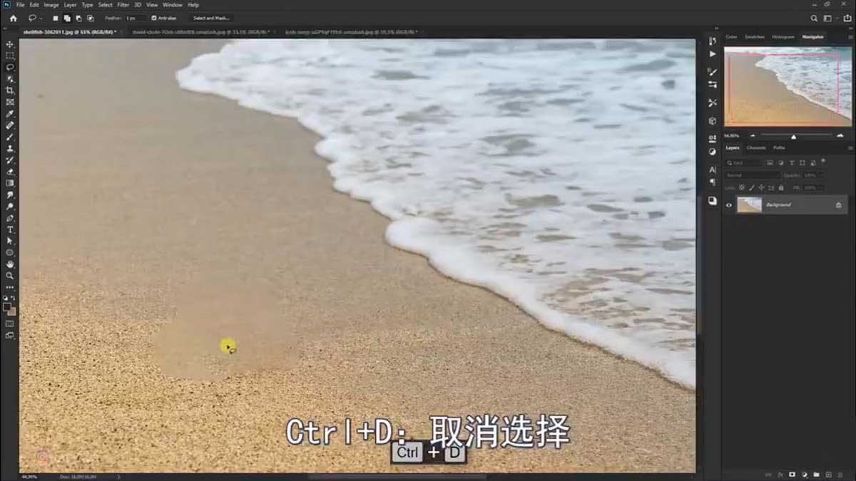 PS合成创意海边背着花的海龟和被掀起的海浪场景