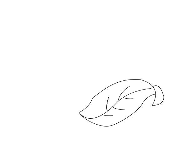 ps怎么手绘简笔画桃子? ps桃子手绘过程