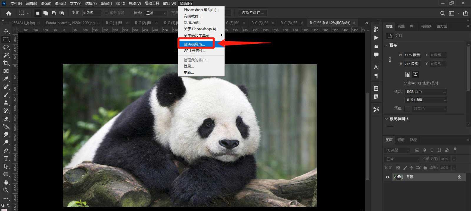 PS2022怎么查看可用内存? photoshop可用内存的查看方法