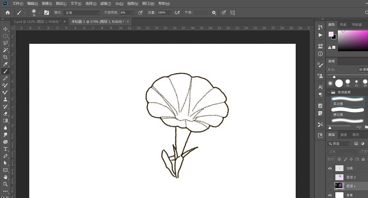 PS怎么守护逼真的牵牛花插画? ps画牵牛花的教程