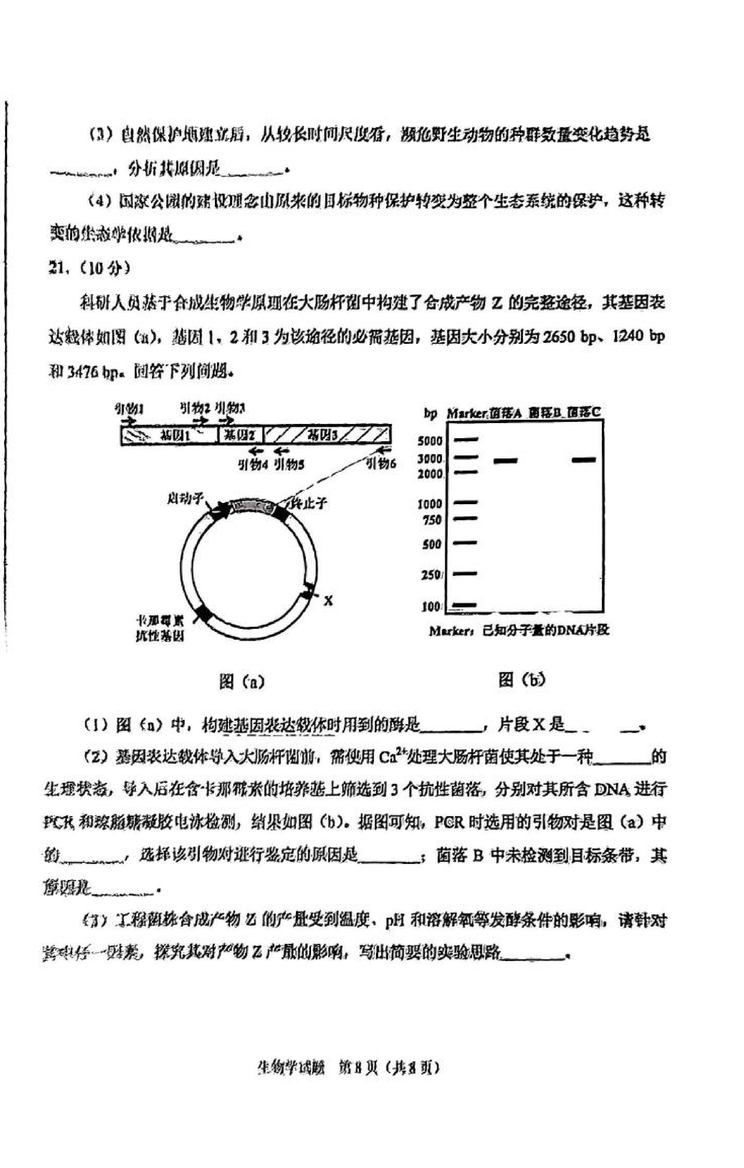 2025八省适应性联考生物试卷及答案解析