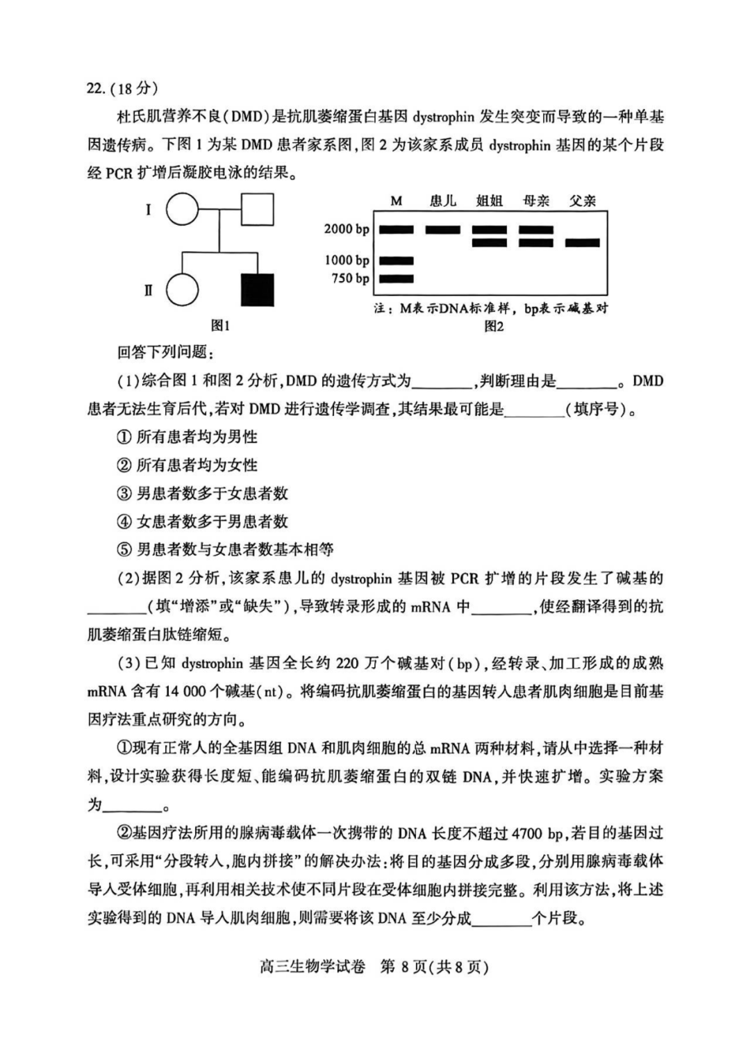 2025届武汉高三二调全解析：九科试卷真题及答案解析