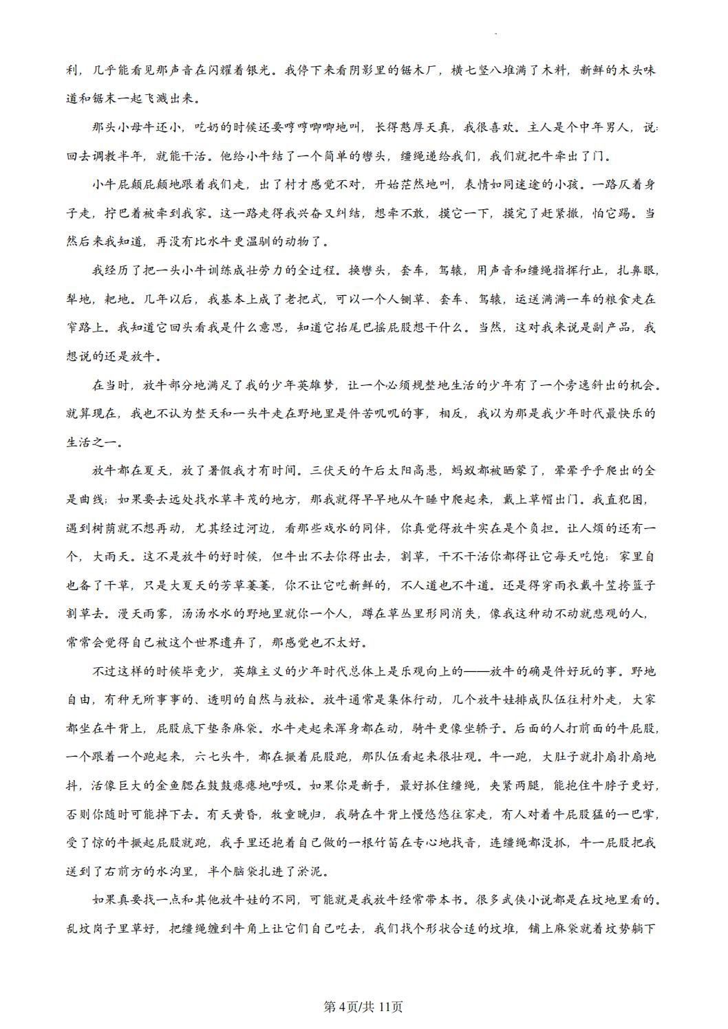 2024年新高考一卷语文真题及答案解析（含作文）