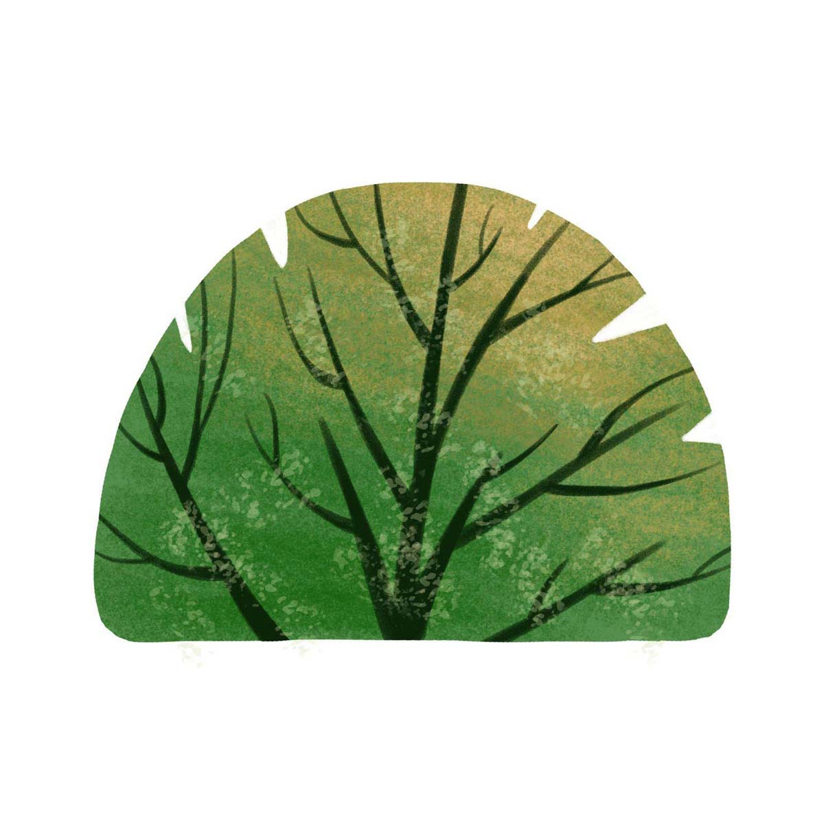 ps怎么手绘简单灌木植物素材? ps画灌木植物矢量图的技巧