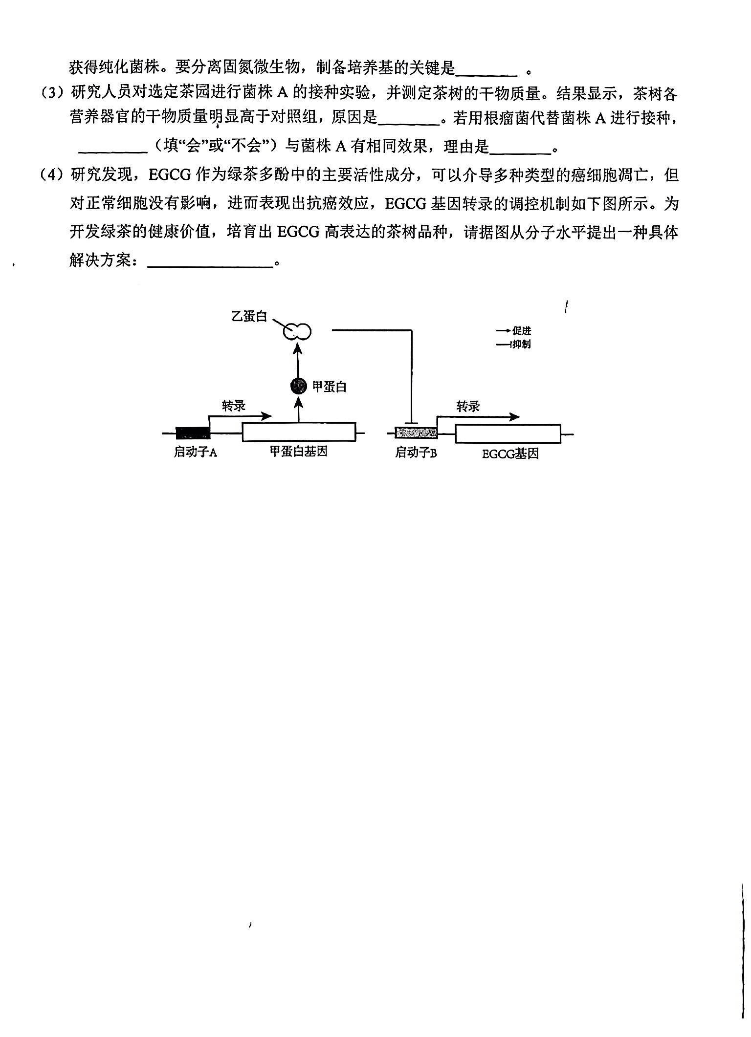 2025江南十校联考各科试卷及答案解析