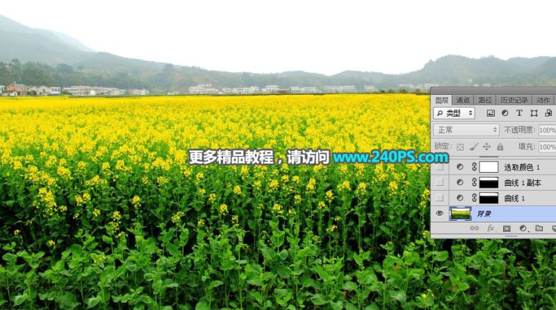 ps把白天油菜花地图片调出大气好看的霞光效果教程