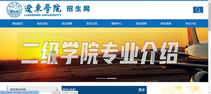 辽东学院招生网入口(https://www.elnu.edu.cn/zsw/)