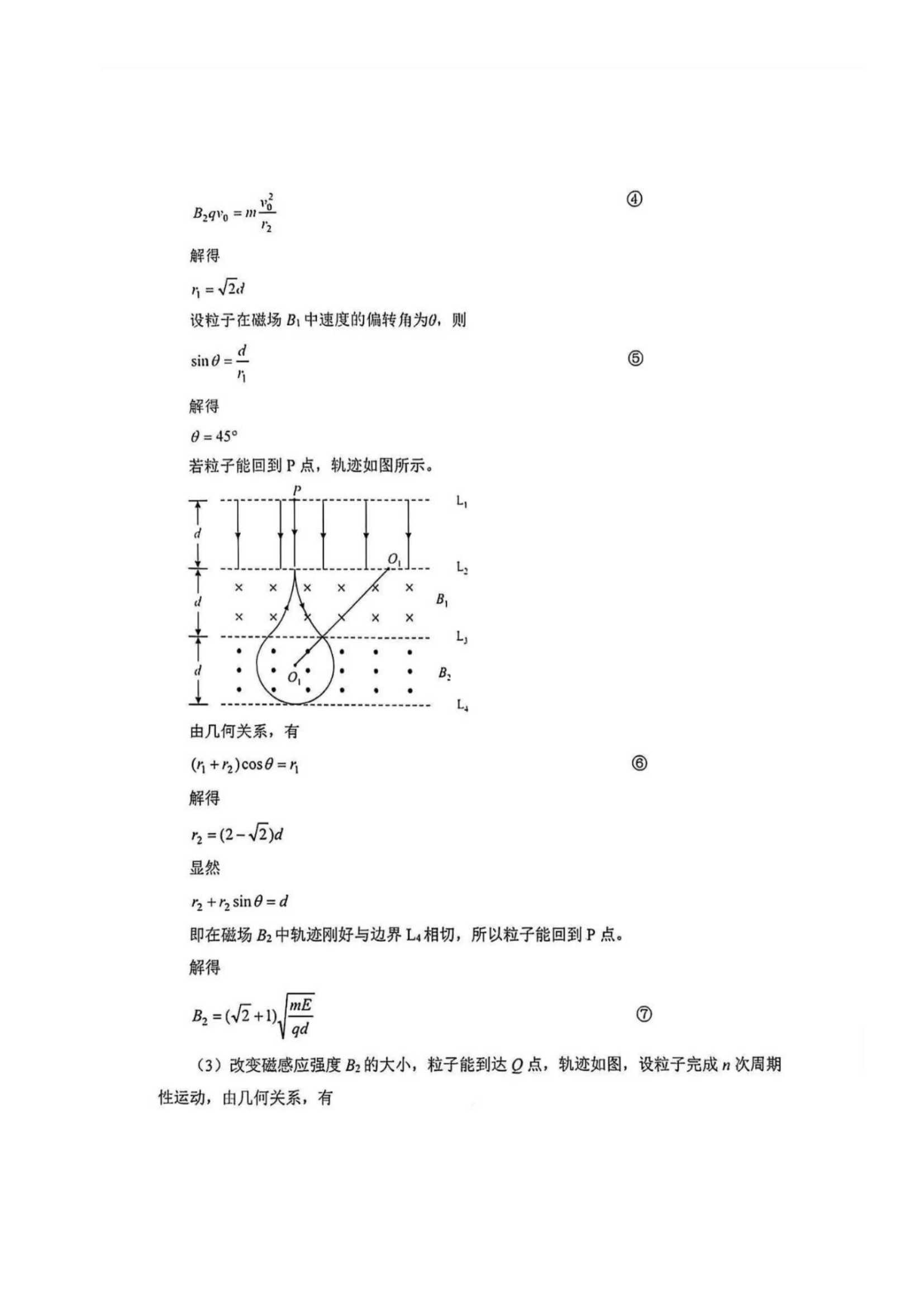 2025届武汉高三二调全解析：九科试卷真题及答案解析