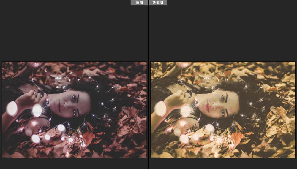 ps怎么恢复camera raw默认值?