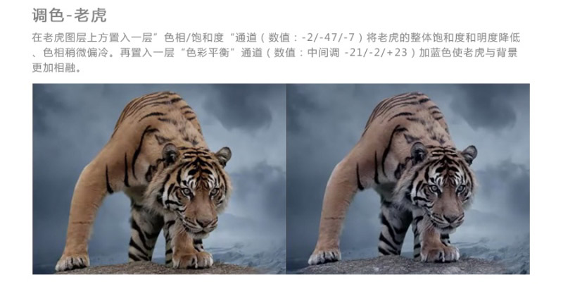 PS合成凶猛的老虎和拿斧头的勇士对峙的场景教程