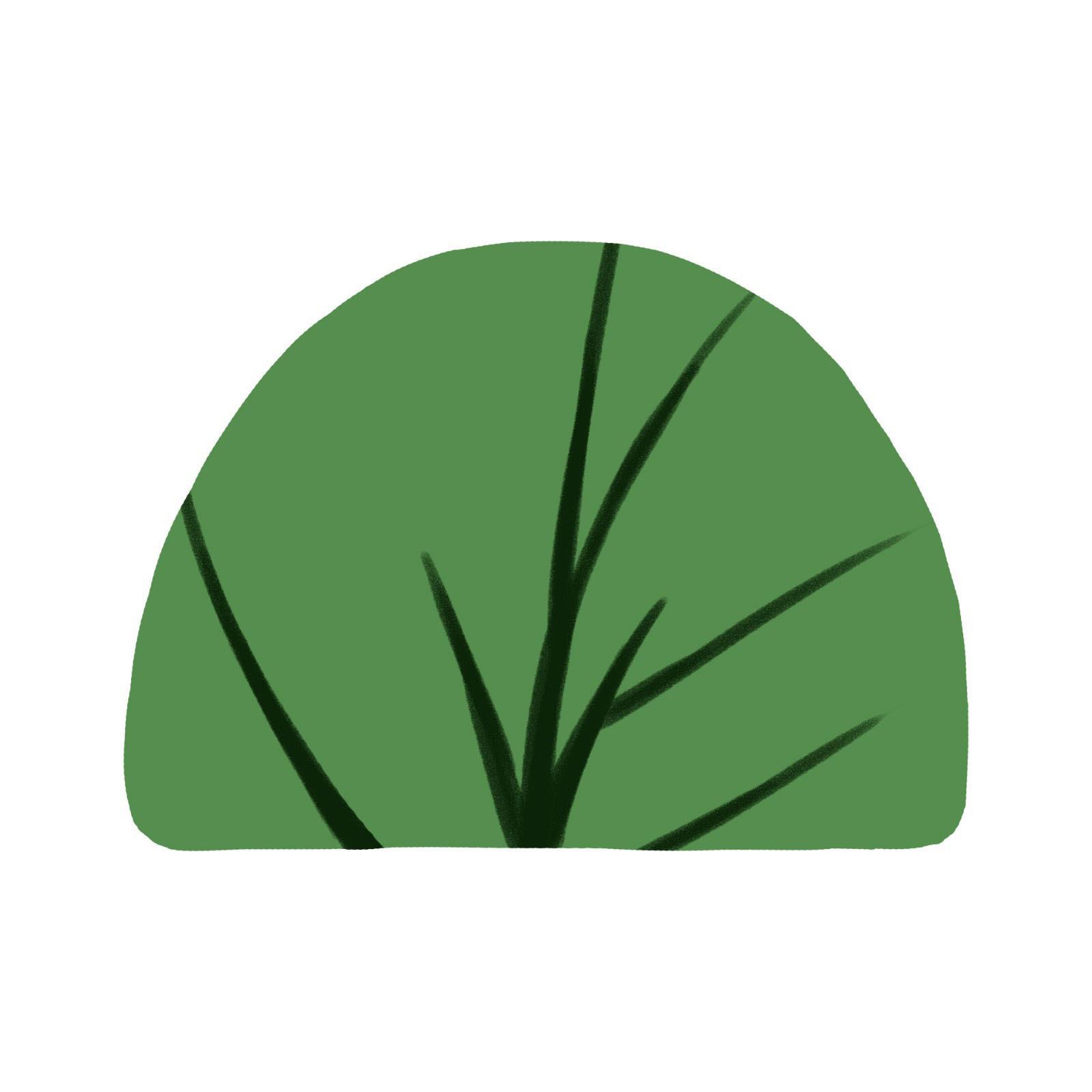 ps怎么手绘简单灌木植物素材? ps画灌木植物矢量图的技巧